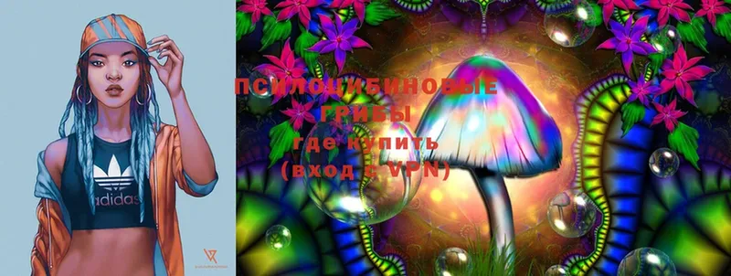 Псилоцибиновые грибы Magic Shrooms Чкаловск