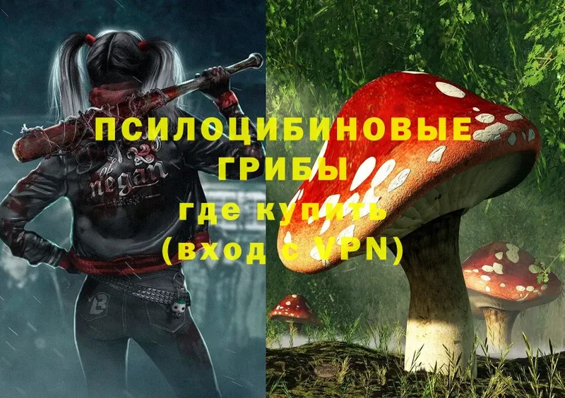 Псилоцибиновые грибы Magic Shrooms  хочу наркоту  Чкаловск 